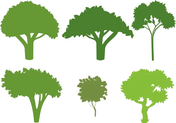 Набор Различных Силуэтов Деревьев Белом Фоне — стоковый вектор