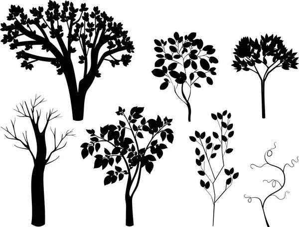 Ensemble Différentes Silhouettes Arbres Feuilles Caduques Sur Fond Blanc — Image vectorielle