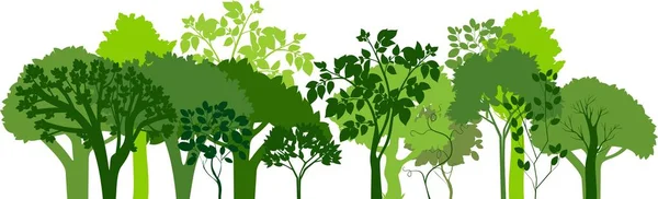 緑の木々 のシルエットのグループ 落葉性の木のシルエットの水平方向のバナー — ストックベクタ