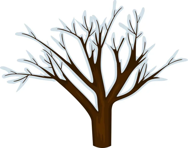 Beyaz Arka Plan Üzerinde Kış Ağaç Olmadan Yaprak — Stok Vektör