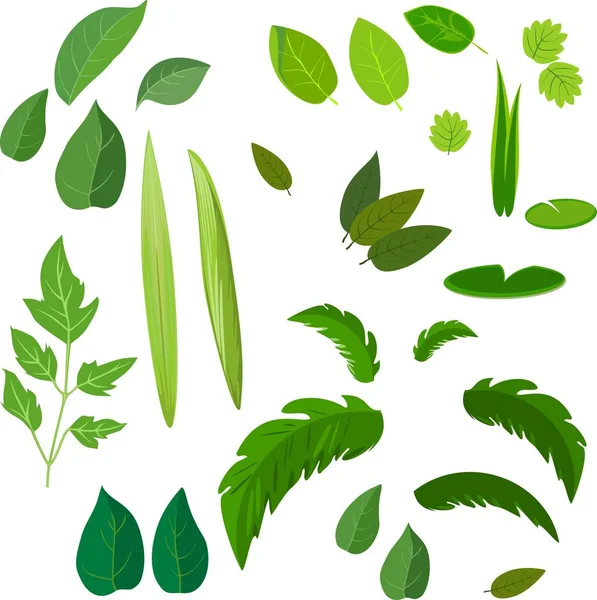 Background Green Leaves — Stock Vector