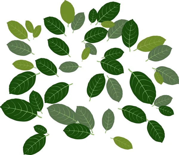 Arka plan düzensizce dağınık yeşil yaprakları ile