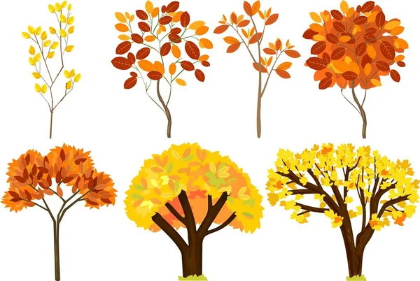 Conjunto Diferentes Árboles Otoño Con Hojas Amarillentas — Archivo Imágenes Vectoriales