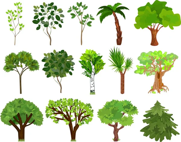 Set Different Trees Green Leaves White Background — Stock Vector