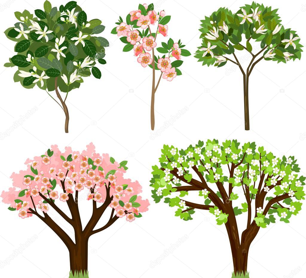 Set of different flowering fruit trees