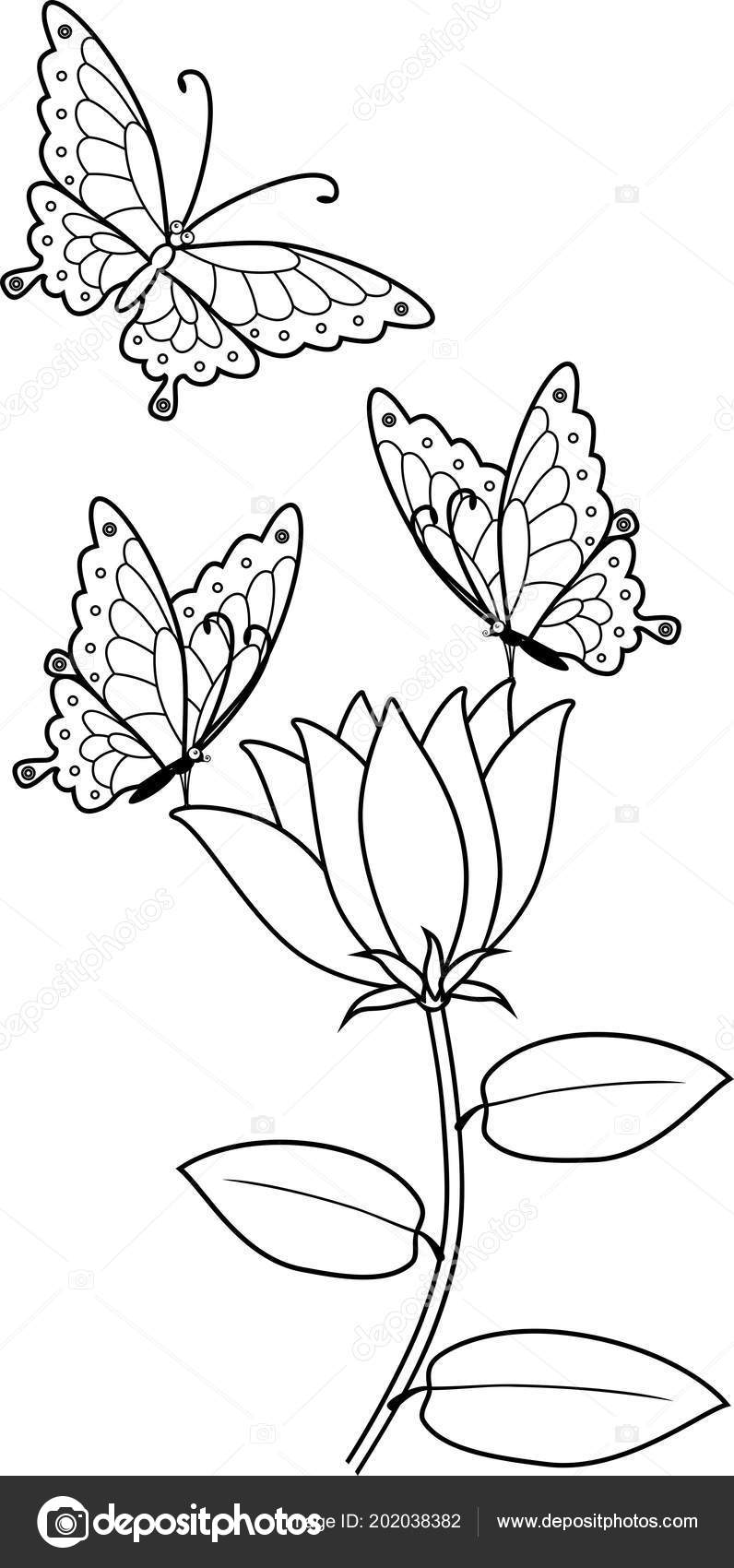 Featured image of post Coloring Pages Of Butterflies And Flowers