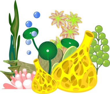 Yellow sponge, seaweed and other marine life on white background clipart