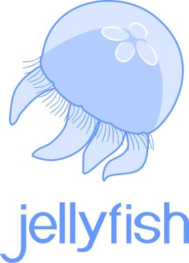 Mavi deniz anası veya Aurelia aurita başlıkla beyaz arka plan üzerinde