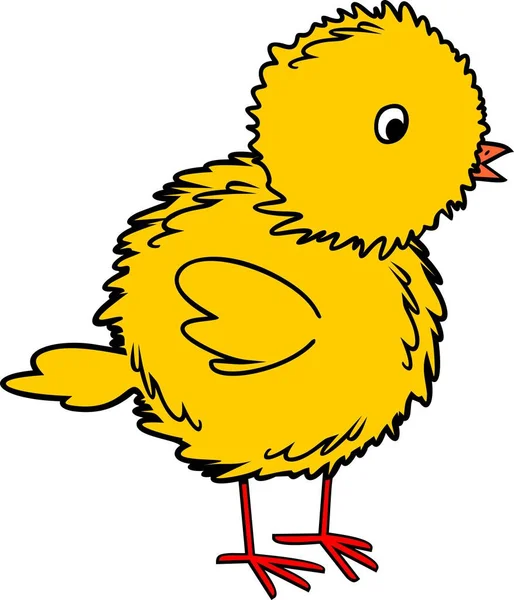 Pollito Amarillo Sobre Fondo Blanco — Vector de stock