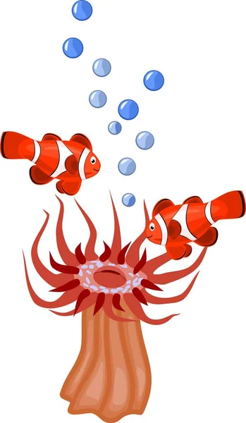 Paar Anemoonvis Rode Beadlet Anemone Witte Achtergrond — Stockvector