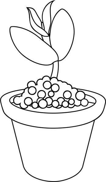 Página Para Colorear Plántulas Maceta — Archivo Imágenes Vectoriales