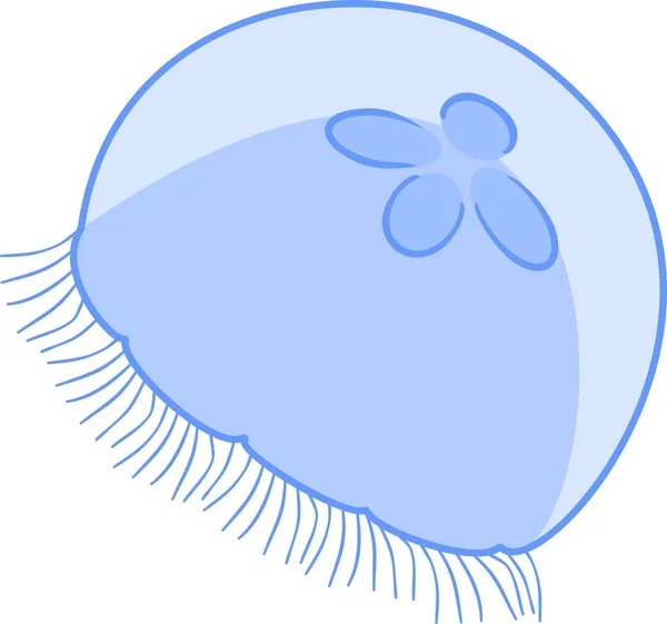 青クラゲや白い背景のミズクラゲ — ストックベクタ