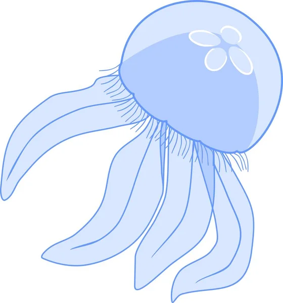 Medusa Blu Aurelia Aurita Sfondo Bianco — Vettoriale Stock