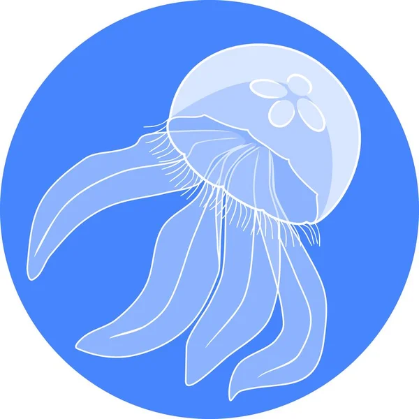 Jellyfish Aurelia Aurita Blue Background — Stock Vector