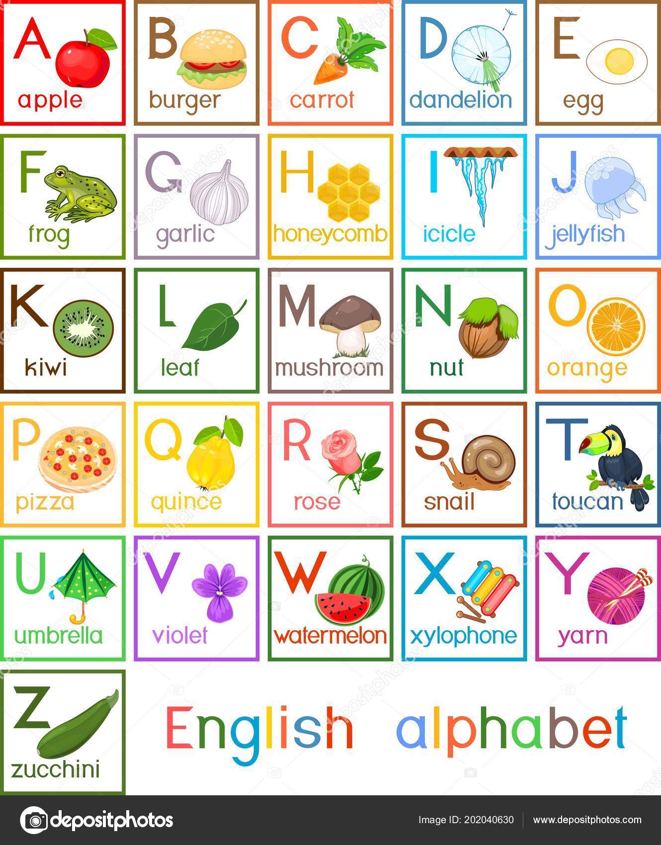 English Alphabet Pictures Titles Children Education Stock Vector Image