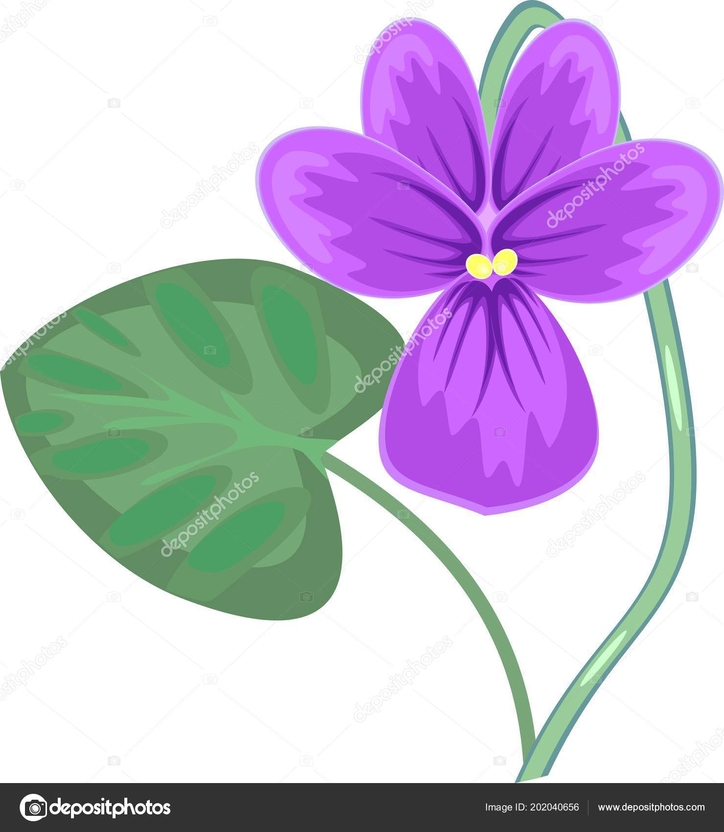 Violet Flower Green Leaf Stock Vector by ©mariaflaya 202040656