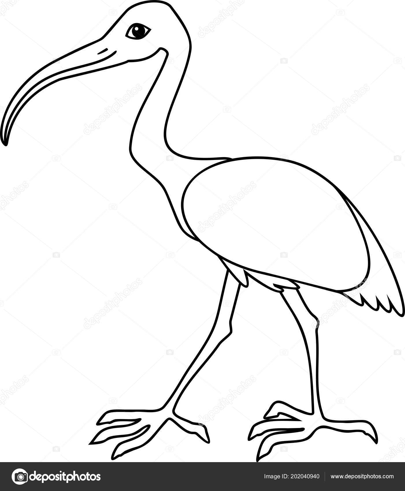 840 Top Ibis Bird Coloring Pages Pictures 840 Top Ibis Bird Coloring Pages Pictures