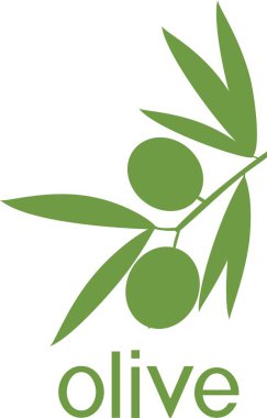 Yeşil yaprakları ve zeytin ile zeytin ağacının dalını silüeti