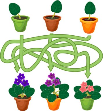 Educational children matching game for children of preschool age. Find the right flowering African violets (Saintpaulia) plant clipart