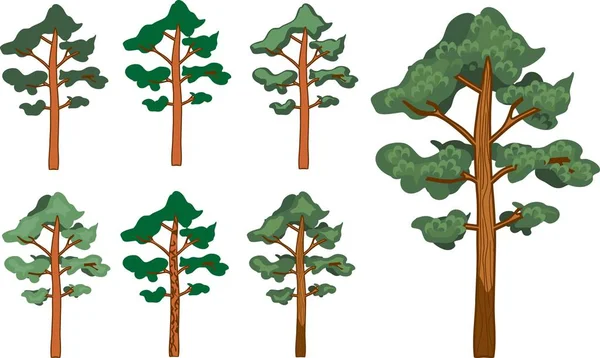 Set Cartoon Pine Trees — Stock Vector