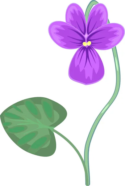 Violette Blume Mit Grünem Blatt — Stockvektor
