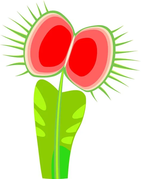 Liść Venus Flytrap Lub Dionaea Muscipula — Wektor stockowy