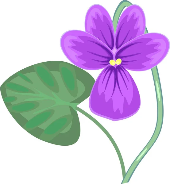 Flor Violeta Com Folha Verde — Vetor de Stock