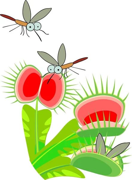 Venus Flytrap Dionaea Muscipula Mosquitos Planta Carnívora — Archivo Imágenes Vectoriales