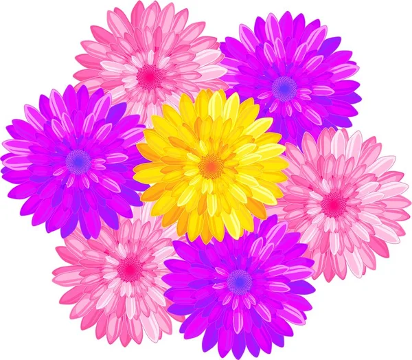 Strauß Verschiedenfarbiger Blumen Mit Zahlreichen Hellen Blütenblättern Auf Weißem Hintergrund — Stockvektor