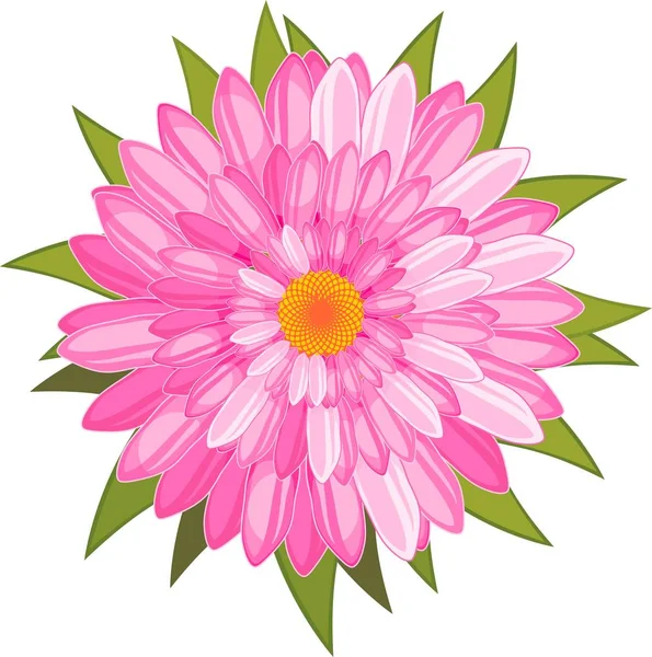 Flor Con Numerosos Pétalos Color Rosa Brillante Pequeñas Hojas Verdes — Vector de stock