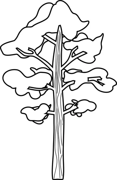 Borovice Strom Zbarvení Stránky — Stockový vektor