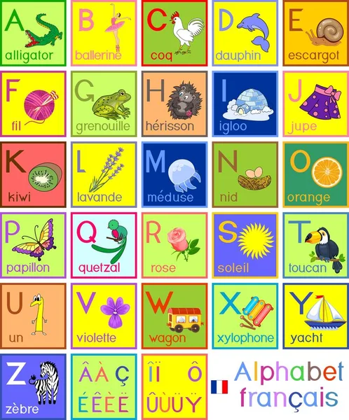 Alfabeto Francês Colorido Com Desenhos Animados Imagens Títulos Para Educação — Vetor de Stock
