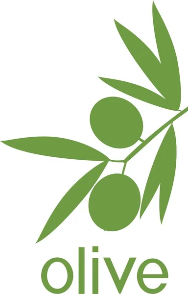 Silhouette Verte Branche Olivier Avec Feuilles Olives — Image vectorielle