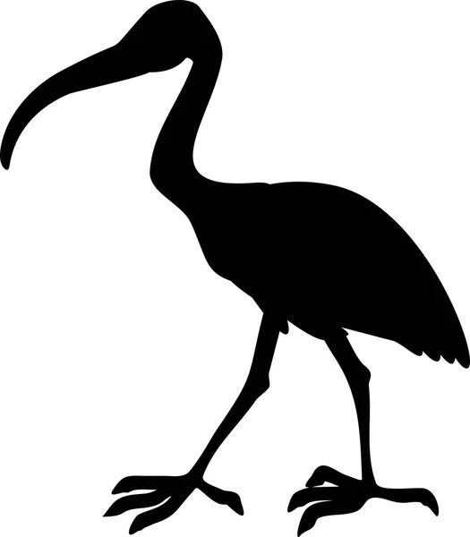 Silhuetten Helig Ibis — Stock vektor