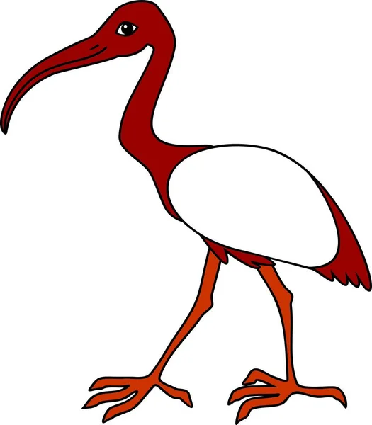 Dibujos Animados Ibis Sagrados Africanos Sobre Fondo Blanco — Archivo Imágenes Vectoriales