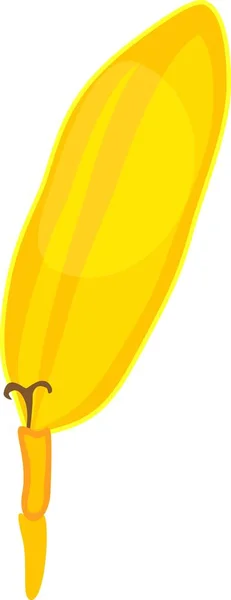 Ray Floret Żółtym Corolla Słonecznika Kwiatostan — Wektor stockowy