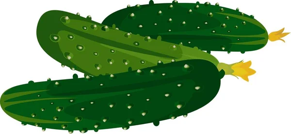 Verse Groene Komkommers Witte Achtergrond — Stockvector