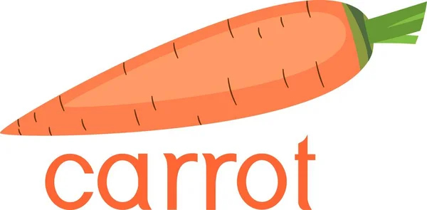 Cartoon Oranje Wortel Met Titel Witte Achtergrond — Stockvector