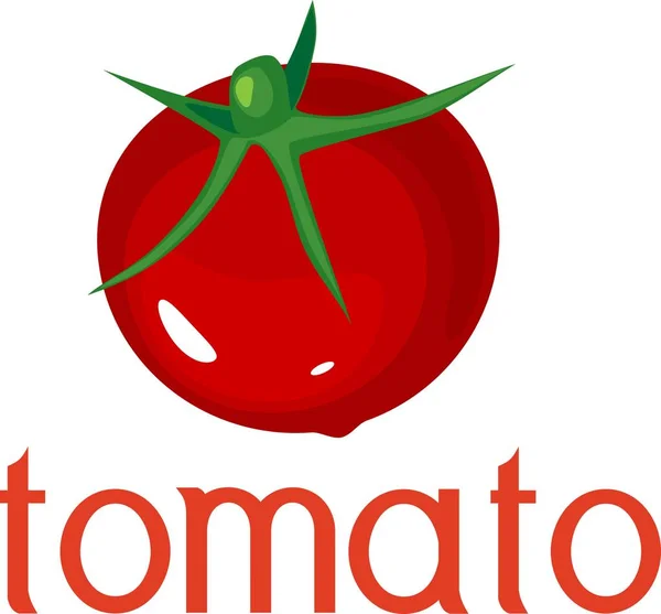 Ungeschälte Rote Tomate Mit Titel Auf Weißem Hintergrund — Stockvektor