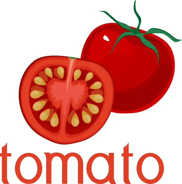Red Tomatoes Title White Background — Stock Vector