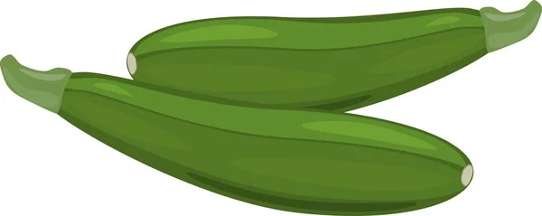 Dua Zucchini Hijau Segar Pada Latar Belakang Putih - Stok Vektor