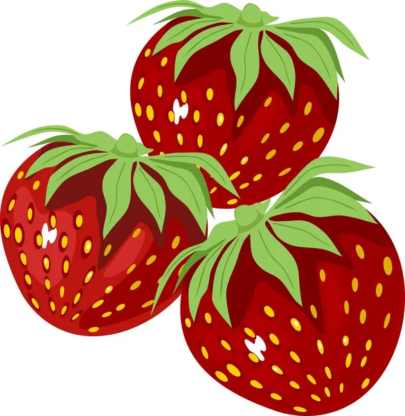 Fresas Rojas Sobre Fondo Blanco — Vector de stock