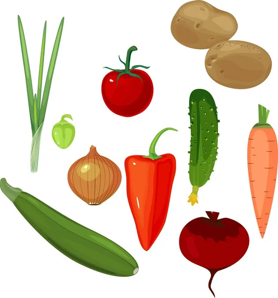 Verschiedene Gemüsesorten Auf Weißem Hintergrund — Stockvektor
