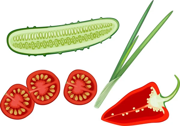 Fatias Diferentes Vegetais Pepino Pimentão Doce Tomate Folhas Cebola Verde —  Vetores de Stock