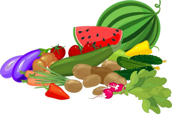 Big still life with autumn harvest. Composition with watermelon and different vegetables on white background