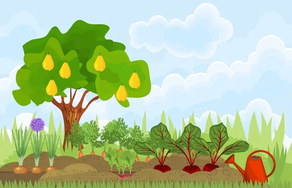 Huerto Cocina Huerta Con Diferentes Verduras Árboles Frutales Jardín Verano — Vector de stock