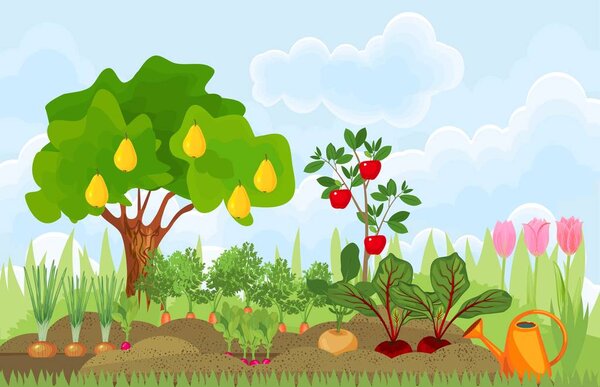 Кухня сад или огород с различными овощами, фруктовыми деревьями и тюльпанами
