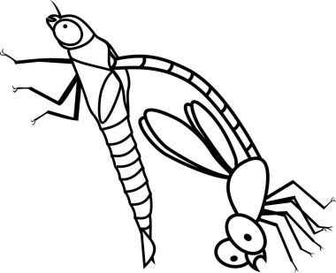 Boyama sayfası. Yetişkin yusufçuk erken aşamada deri değiştirme