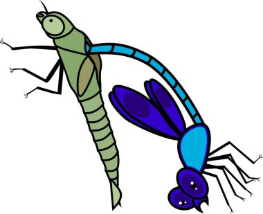 Yetişkin yusufçuk erken aşamada deri değiştirme