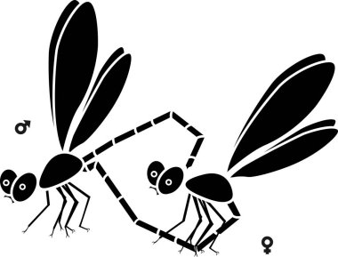 Yusufçuk beyaz arka plan üzerinde birkaç çiftleşme siyah siluet
